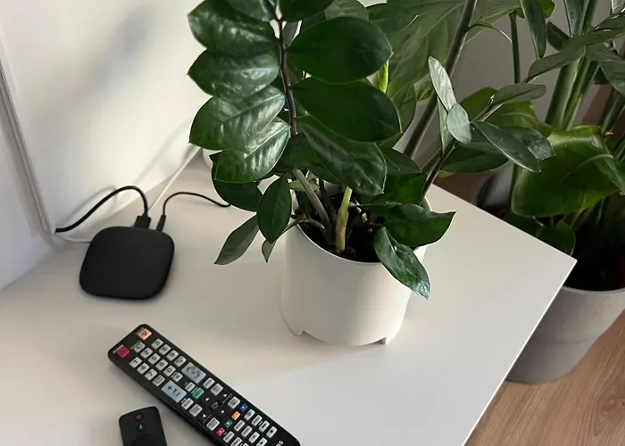 Chic & Cozy Near Nivy Station *